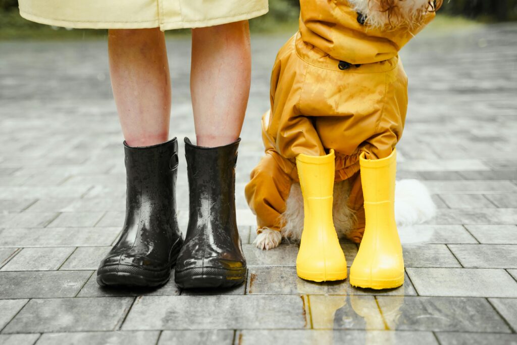 Off Broadway Shoes and Seasonal Deals